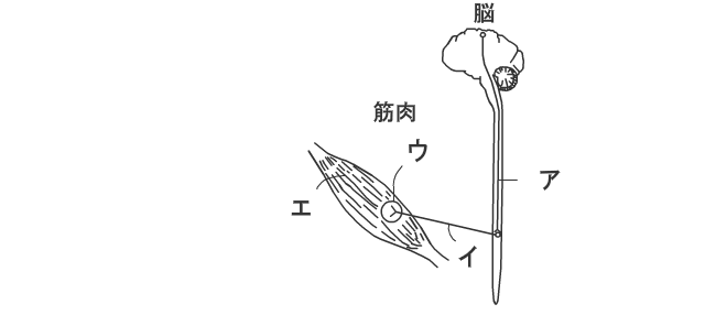 第103回午前問題53